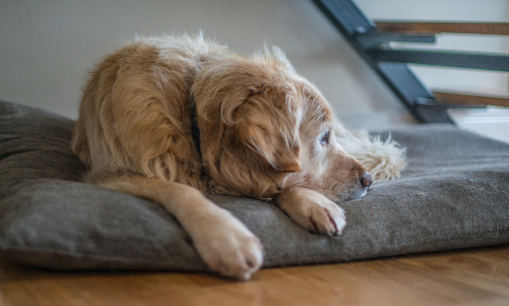 พื้นที่ใต้บันได