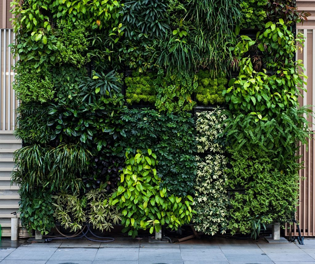 แต่งบ้านด้วยต้นไม้