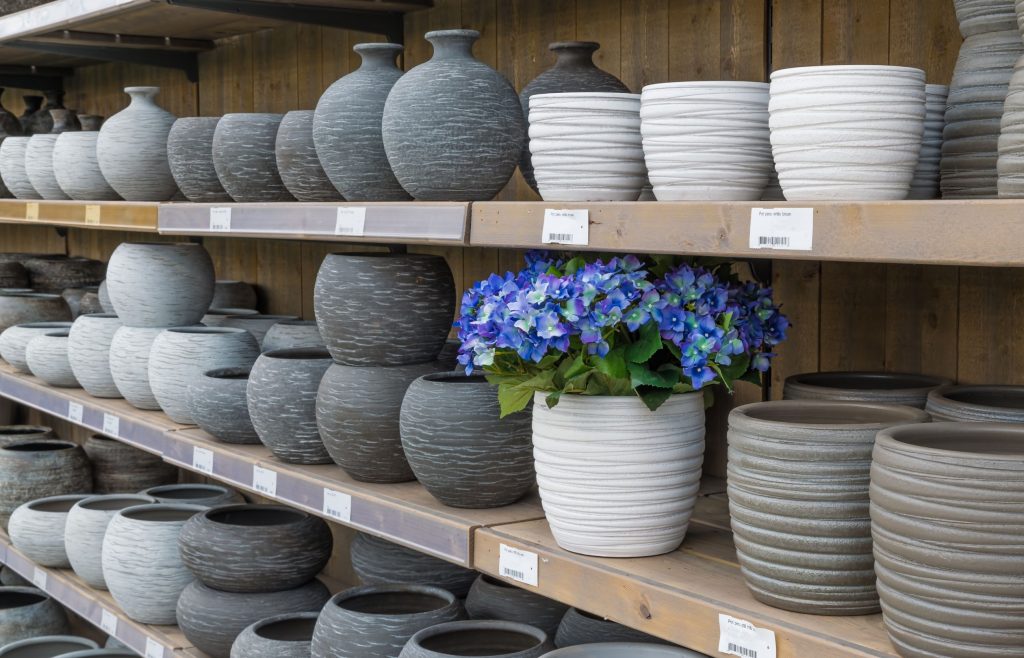 ตลาดต้นไม้ ราคาถูก