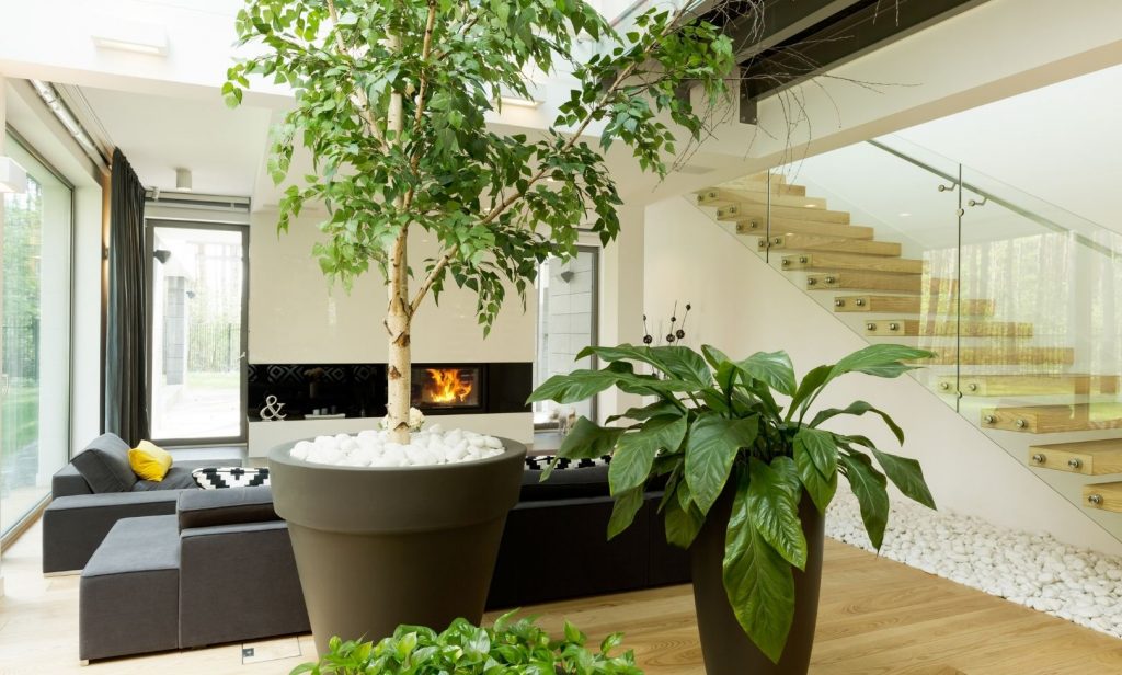 ตกแต่งบ้าน สวย ๆ