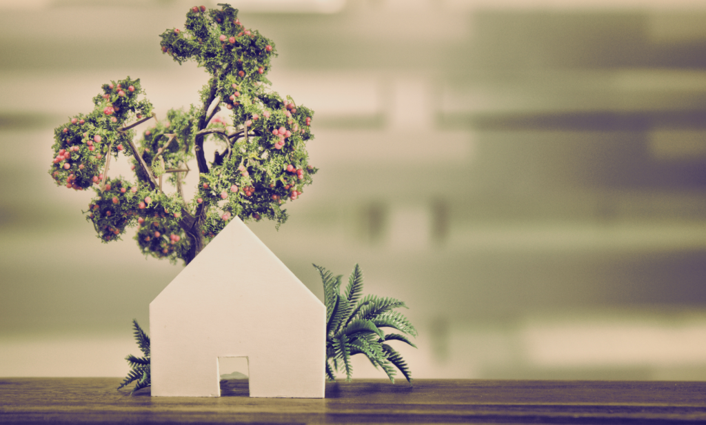 ที่ดิน ส.ป.ก ทําอะไรได้บ้าง