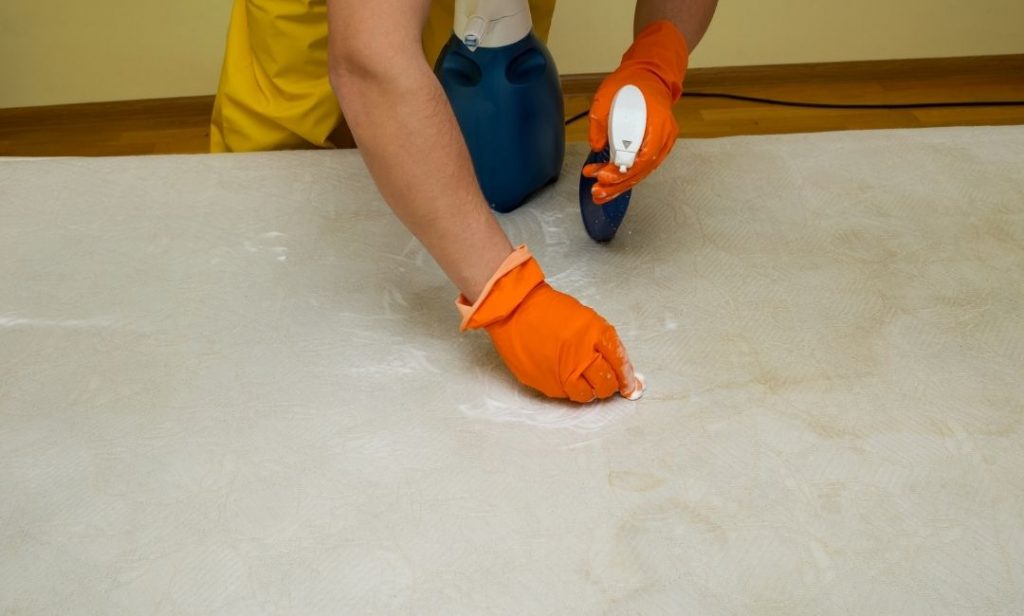 กำจัดกลิ่นฉี่บนที่นอน