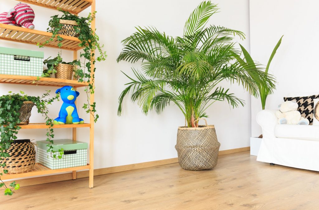 ต้นไม้สไตล์มินิมอล