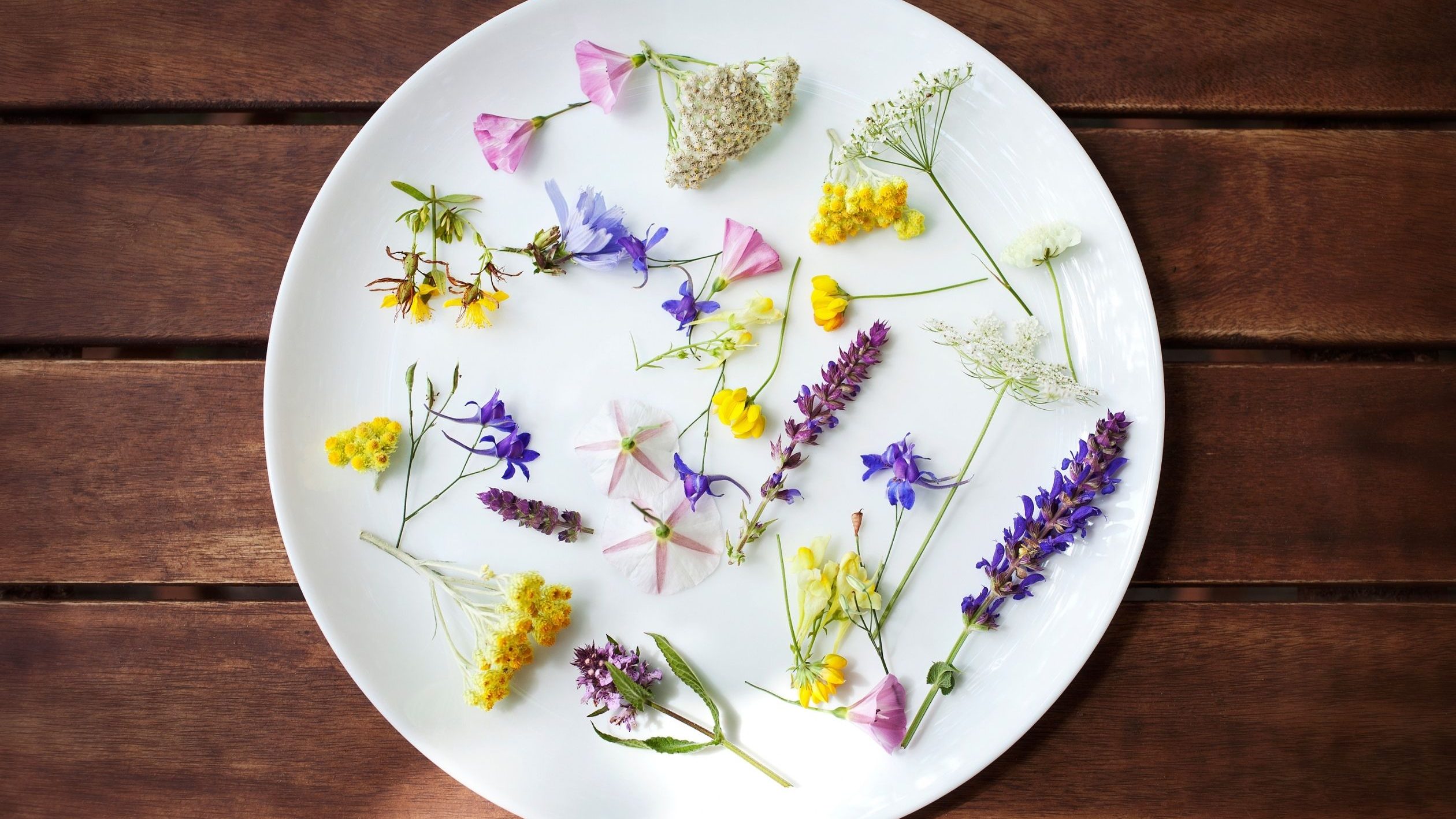 ดอกไม้ที่กินได้