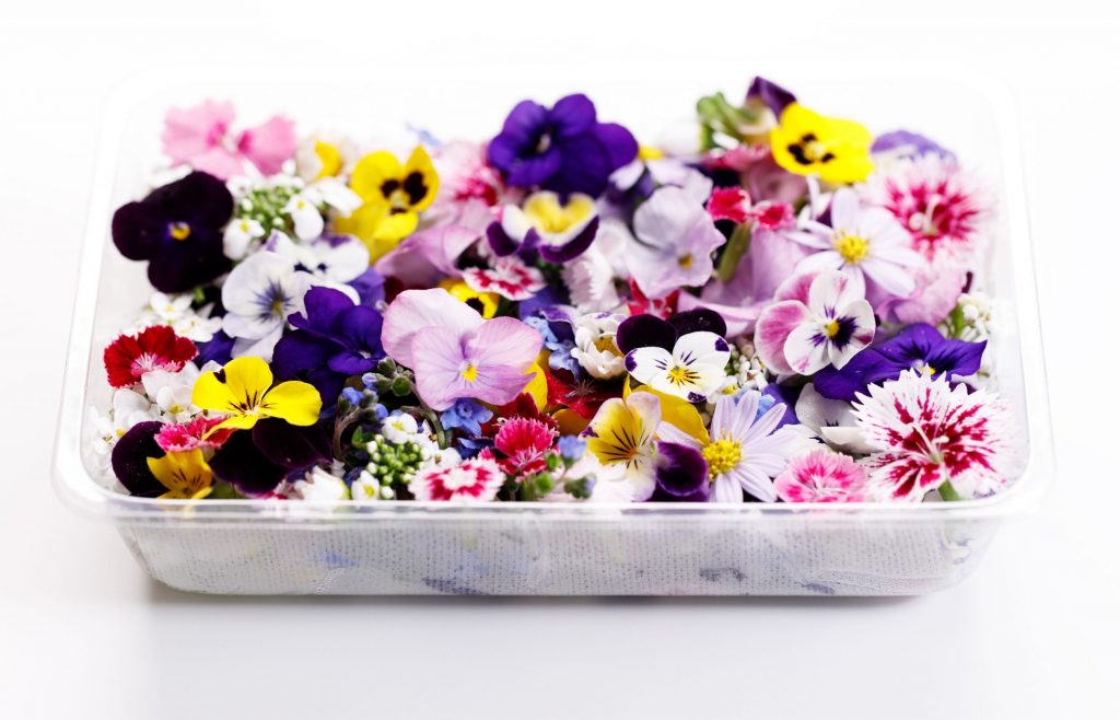 ดอกไม้ที่กินได้