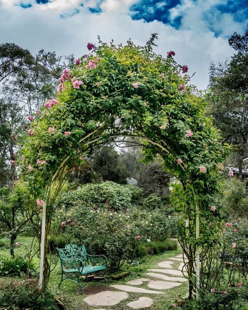 จัดสวนเล็ก ๆ