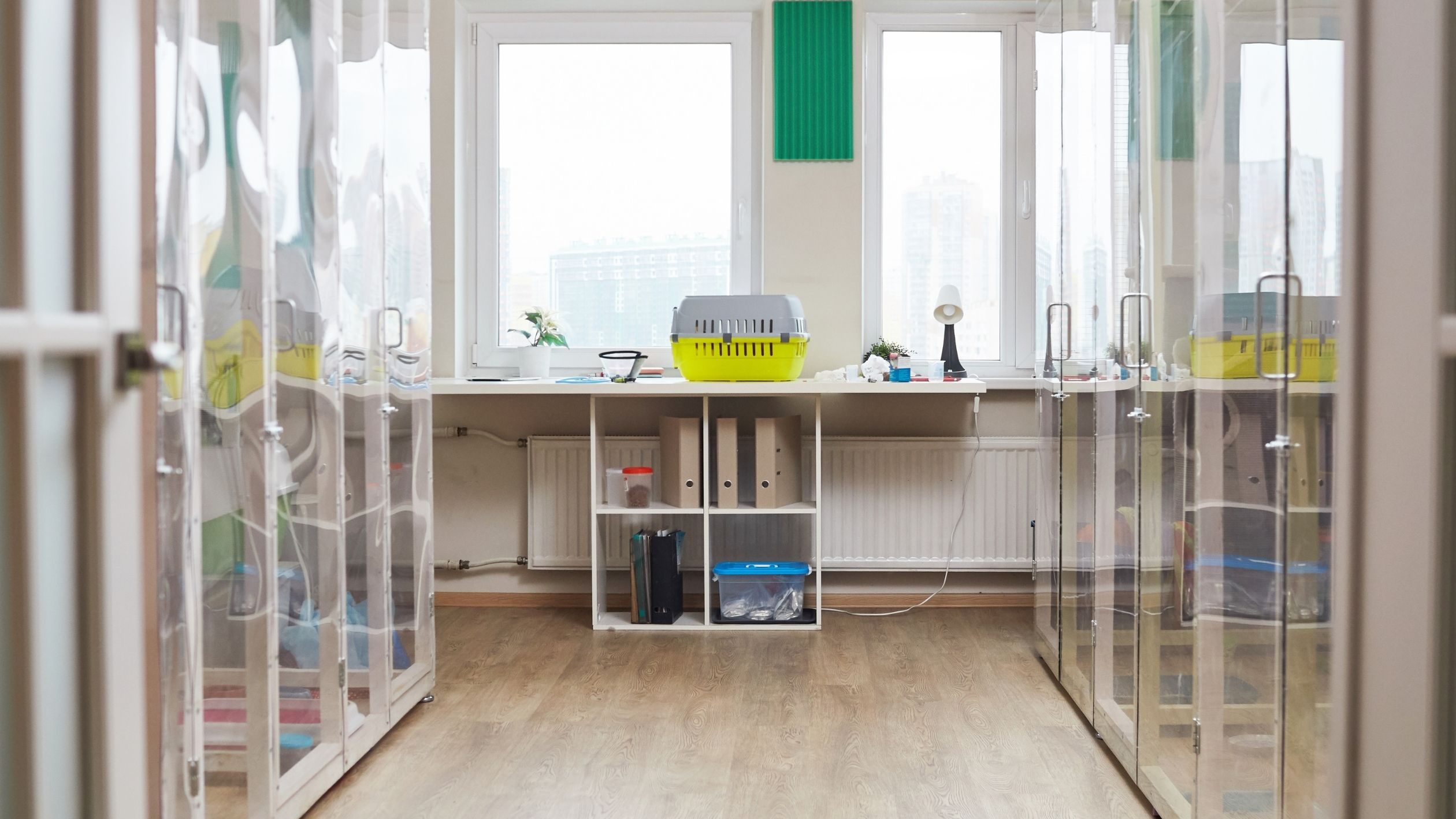 เลี้ยงอะไรดีในคอนโด