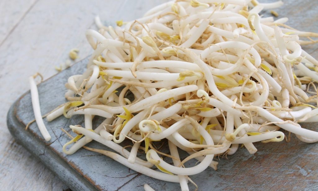 ผักที่ปลูกง่าย