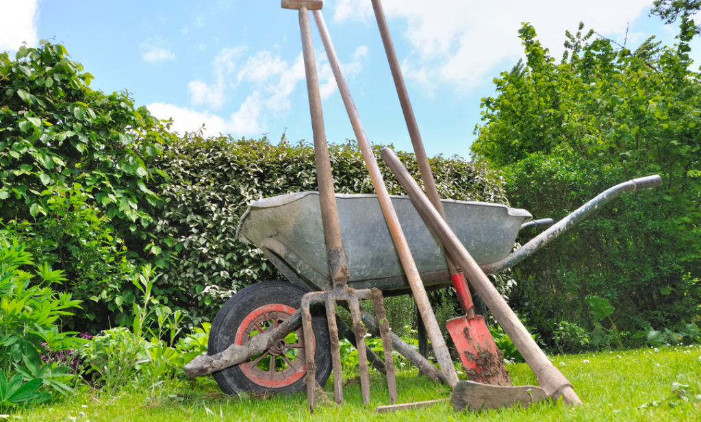 ขจัดคราบสนิม