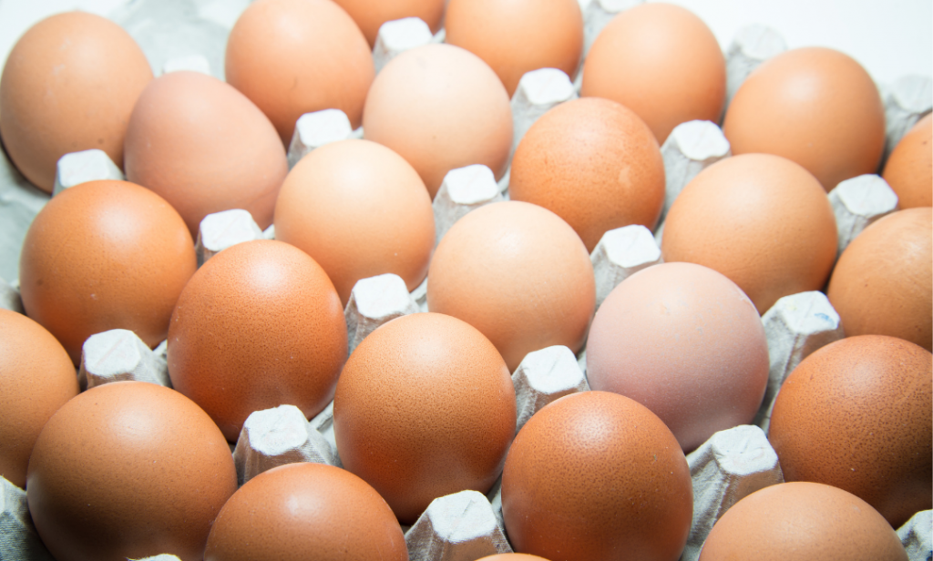 วิธีแช่แข็งอาหาร