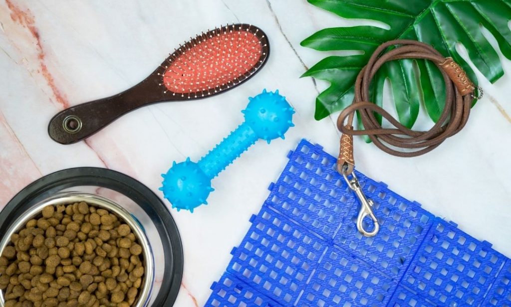 เลี้ยงแมวครั้งแรก เตรียมอะไรบ้าง