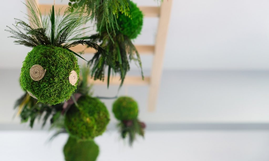 ต้นไม้แขวนผนัง