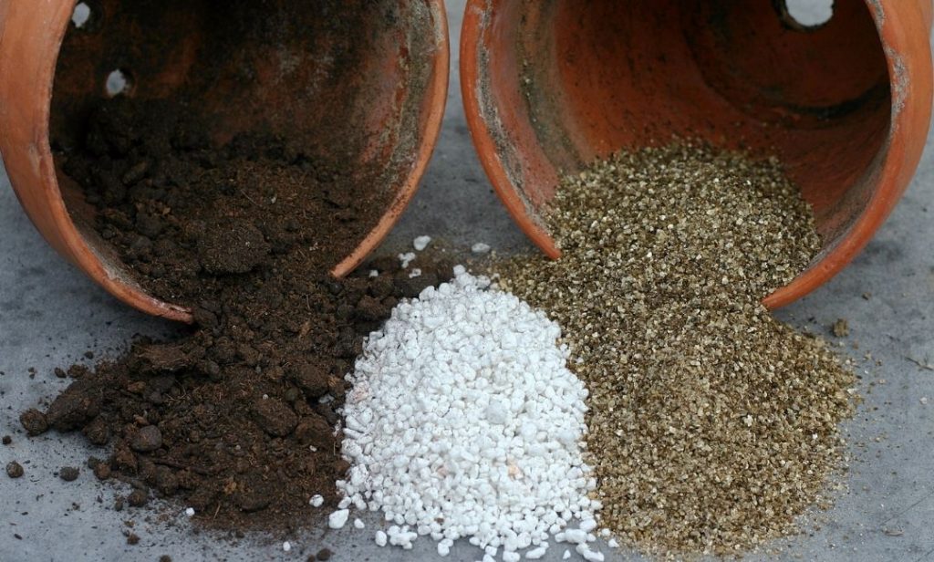 เตรียมดินปลูกต้นไม้