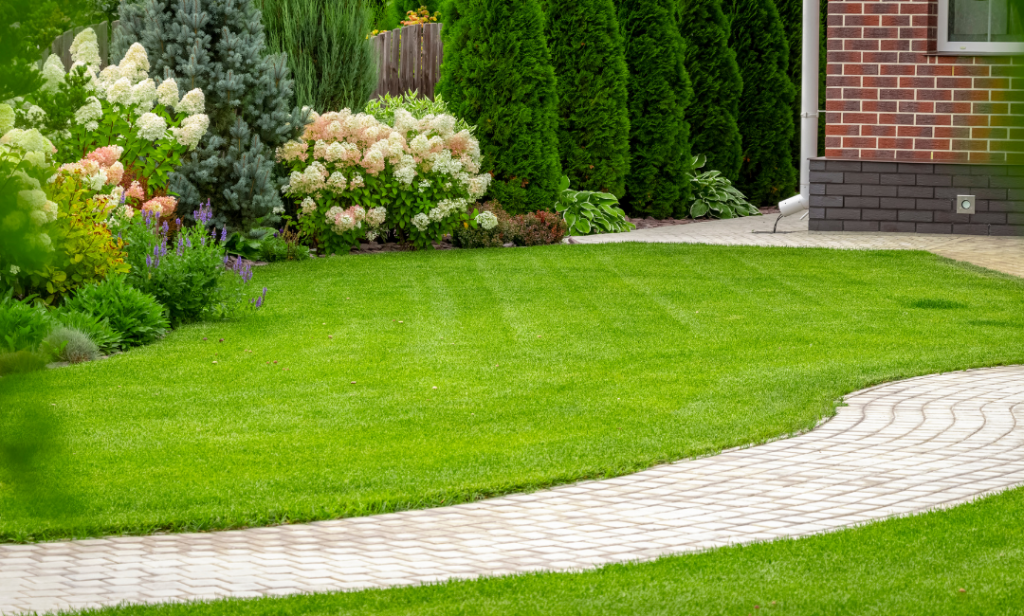 สวนสไตล์มินิมอล
