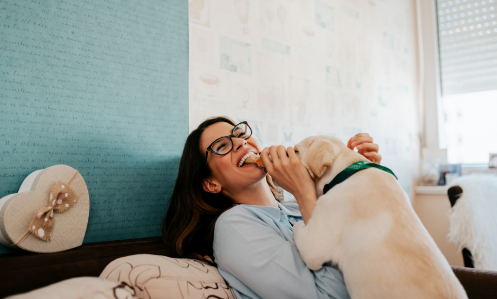 เลี้ยงสุนัขในคอนโด