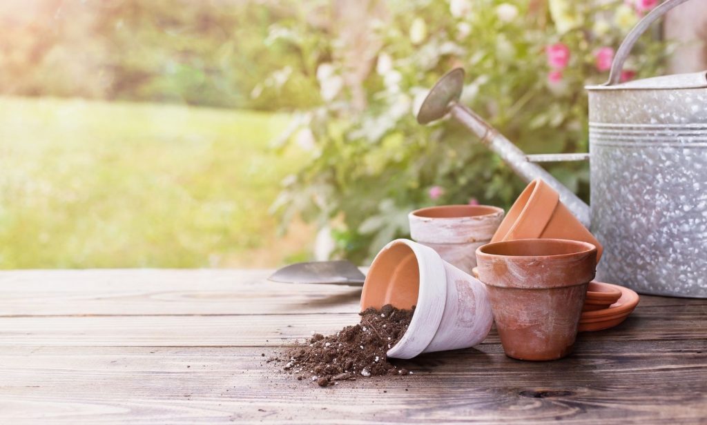 เตรียมดินปลูกต้นไม้