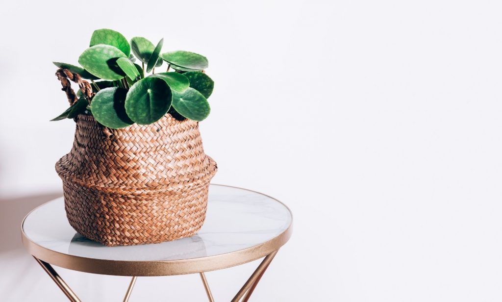 แต่งบ้าน เสริมโชคลาภ