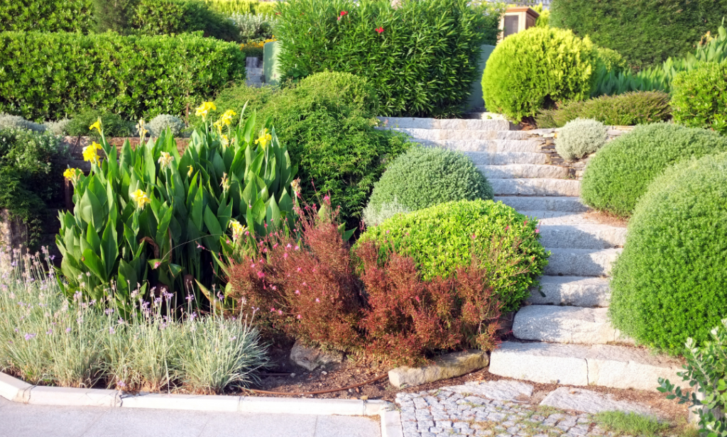 สวนสไตล์มินิมอล