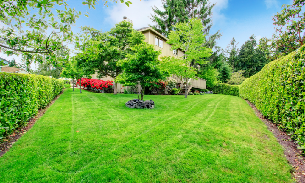 สวนสไตล์มินิมอล