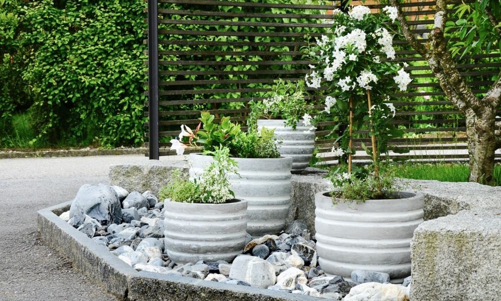 กระถางต้นไม้ แบบไหนดี