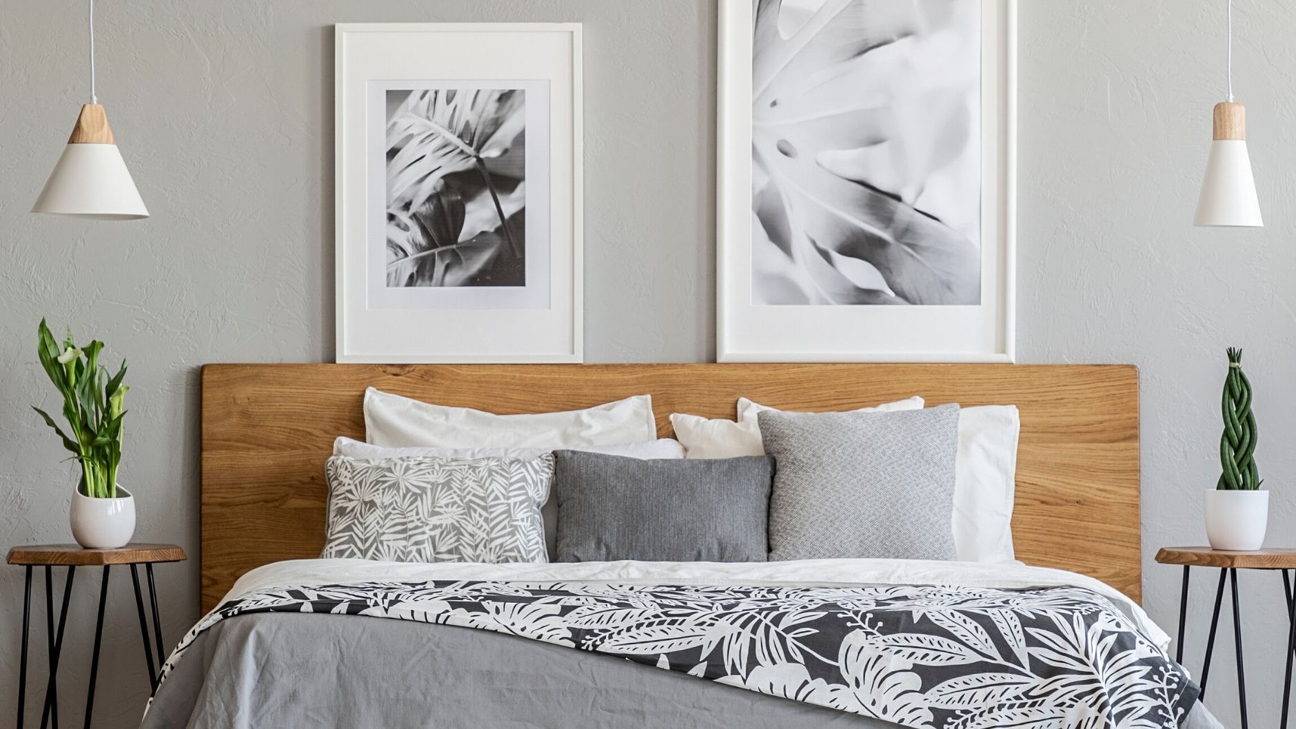 แต่งบ้านด้วยต้นไม้