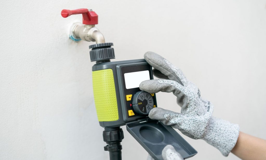 ของขวัญสำหรับคนรักต้นไม้