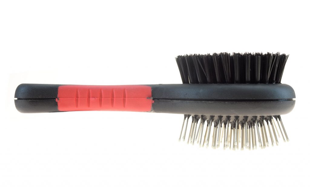 อุปกรณ์ดูแลสุนัข