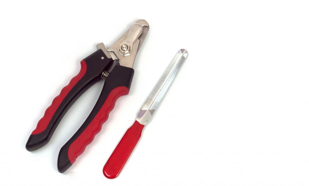 อุปกรณ์ดูแลสุนัข