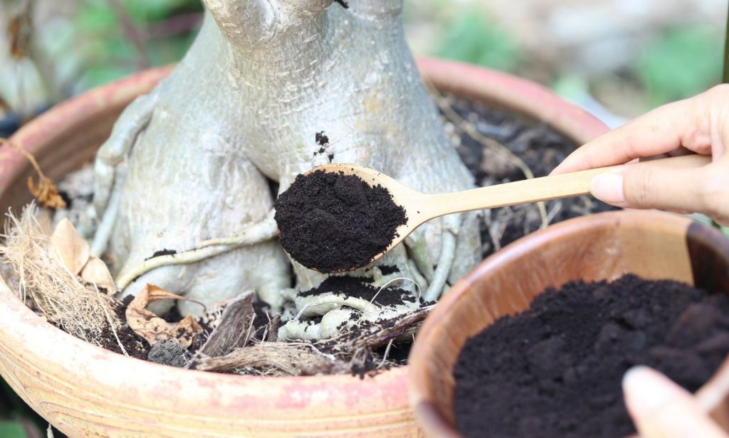 สูตรปุ๋ยอินทรีย์