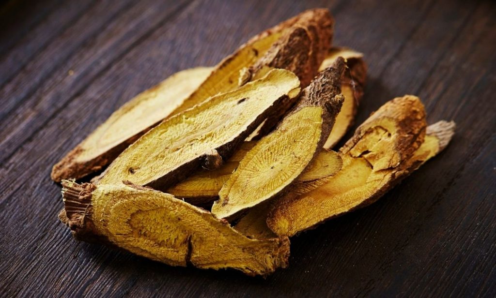 ต้นไม้สำหรับแมว