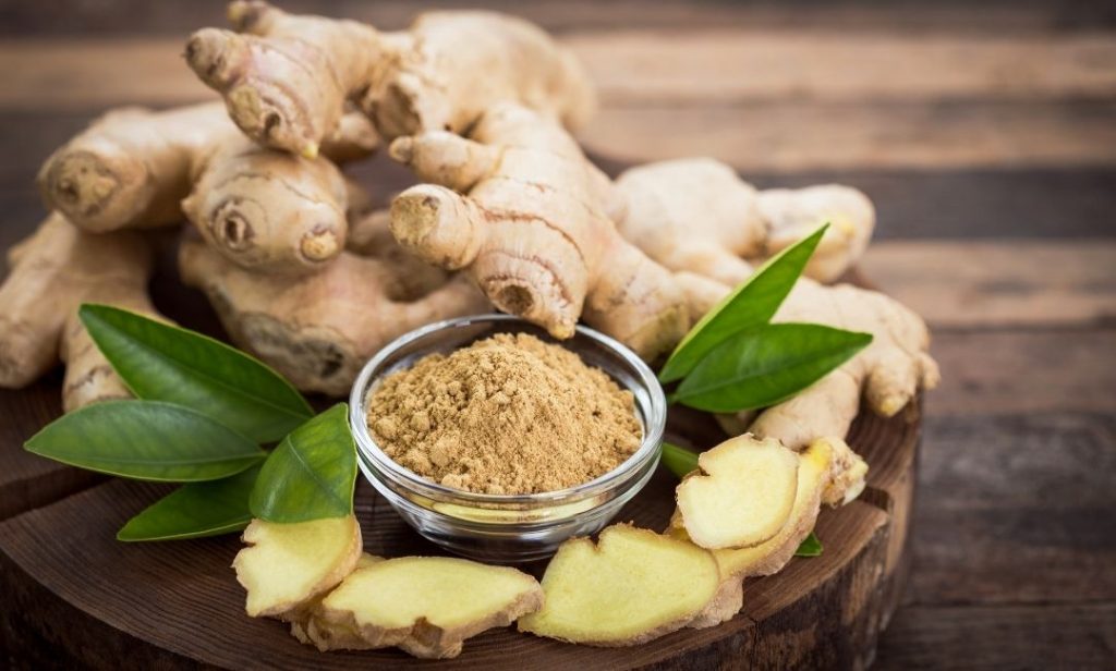 สมุนไพรไทย ที่ควรปลูก