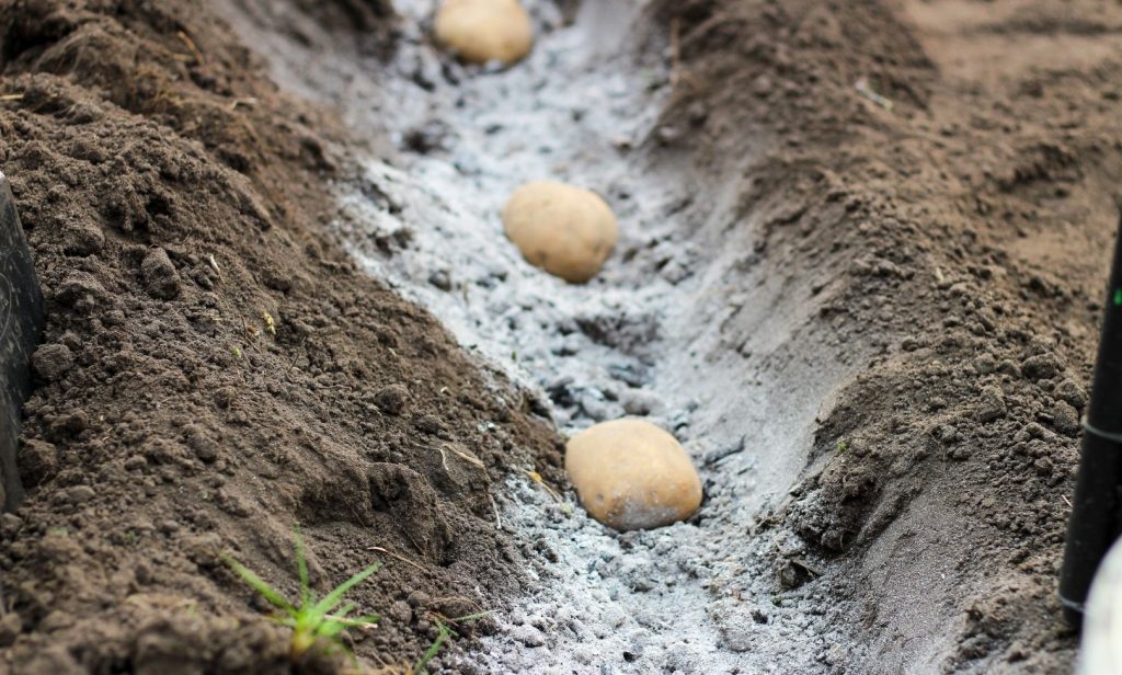 สูตรปุ๋ยอินทรีย์