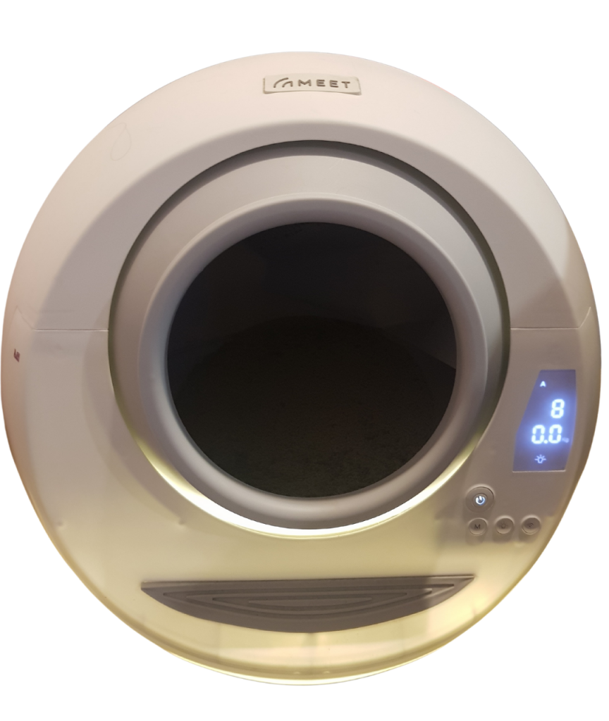 ฝึกแมวใช้กระบะทราย