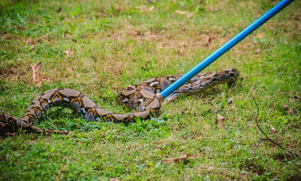 ป้องกันงูเข้าบ้าน