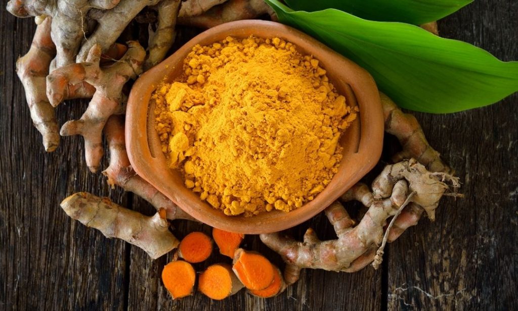 สมุนไพรไทย ที่ควรปลูก