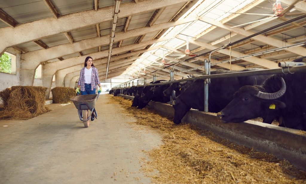 สูตรปุ๋ยอินทรีย์