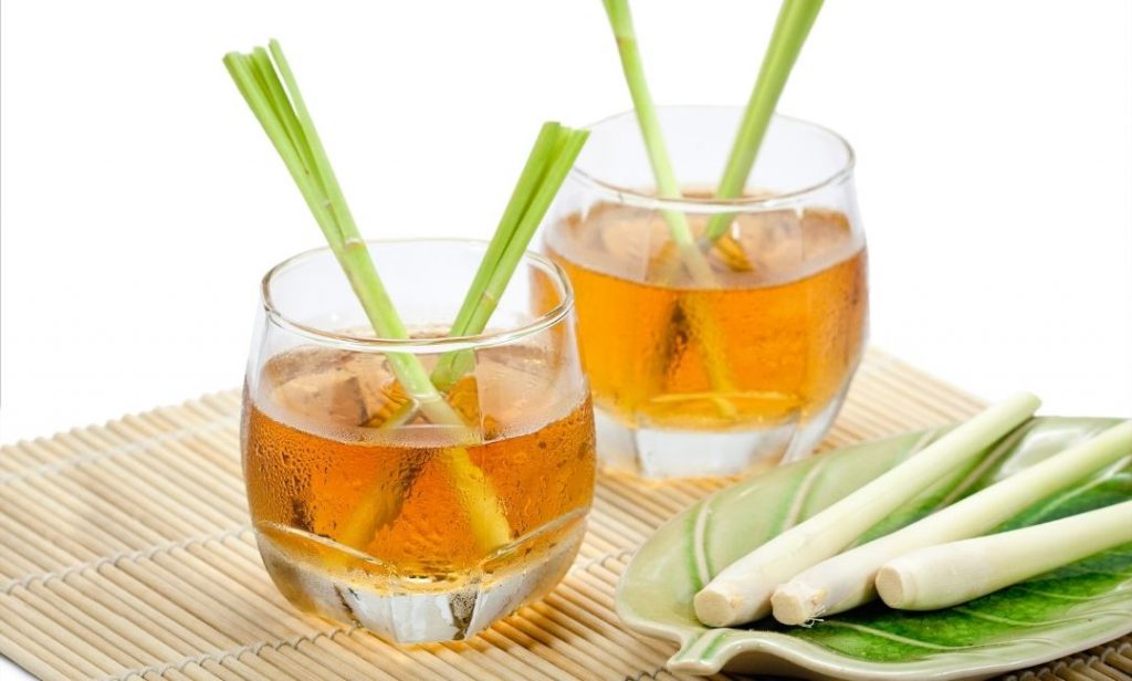 สมุนไพรไทย ที่ควรปลูก