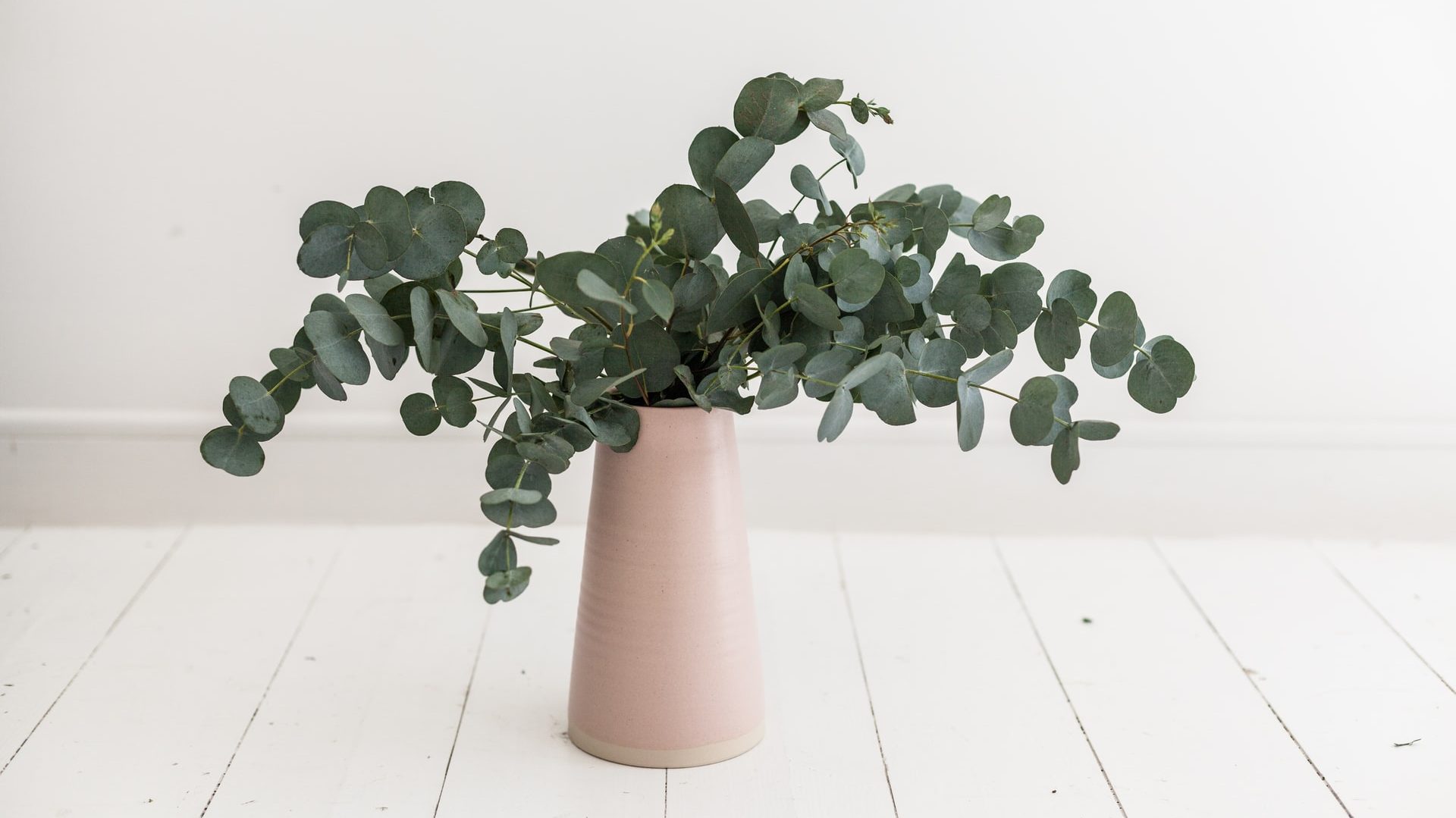 ต้นไม้กลิ่นหอม