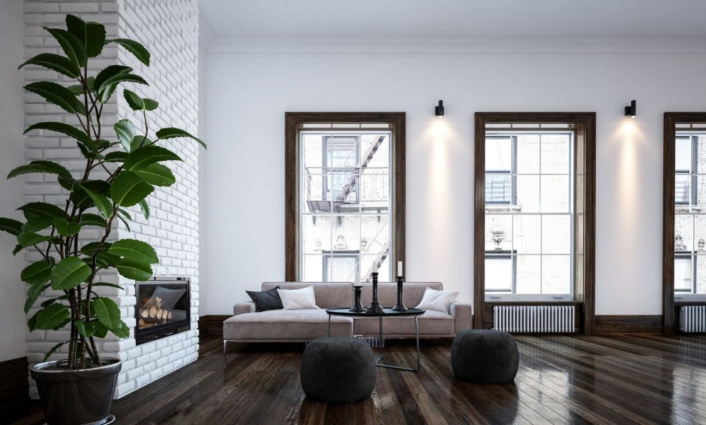 เลือกต้นไม้ปลูกในบ้าน