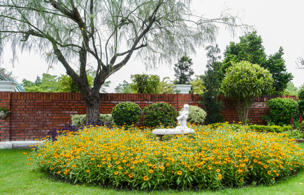 ต้นไม้ ในสวนอังกฤษ