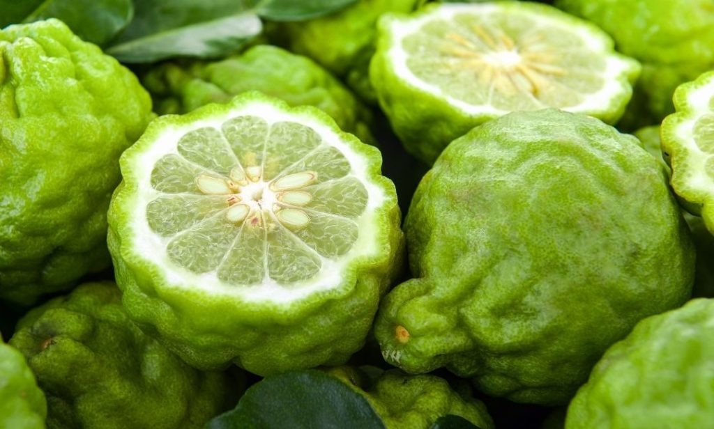 สมุนไพรแก้ผมร่วง