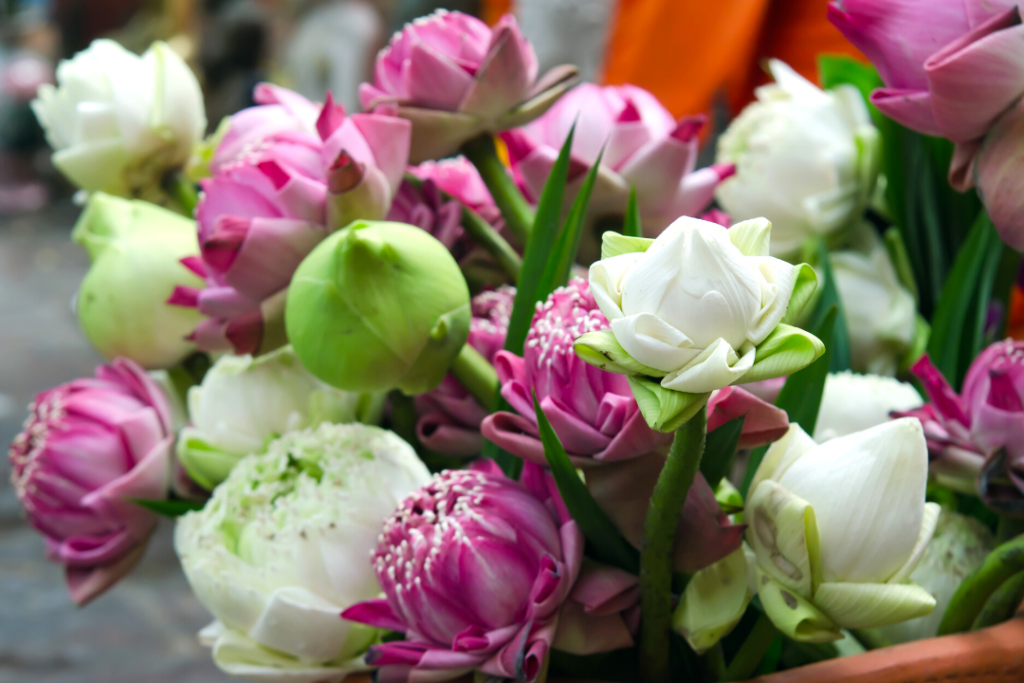 ดอกไม้ไหว้พระ