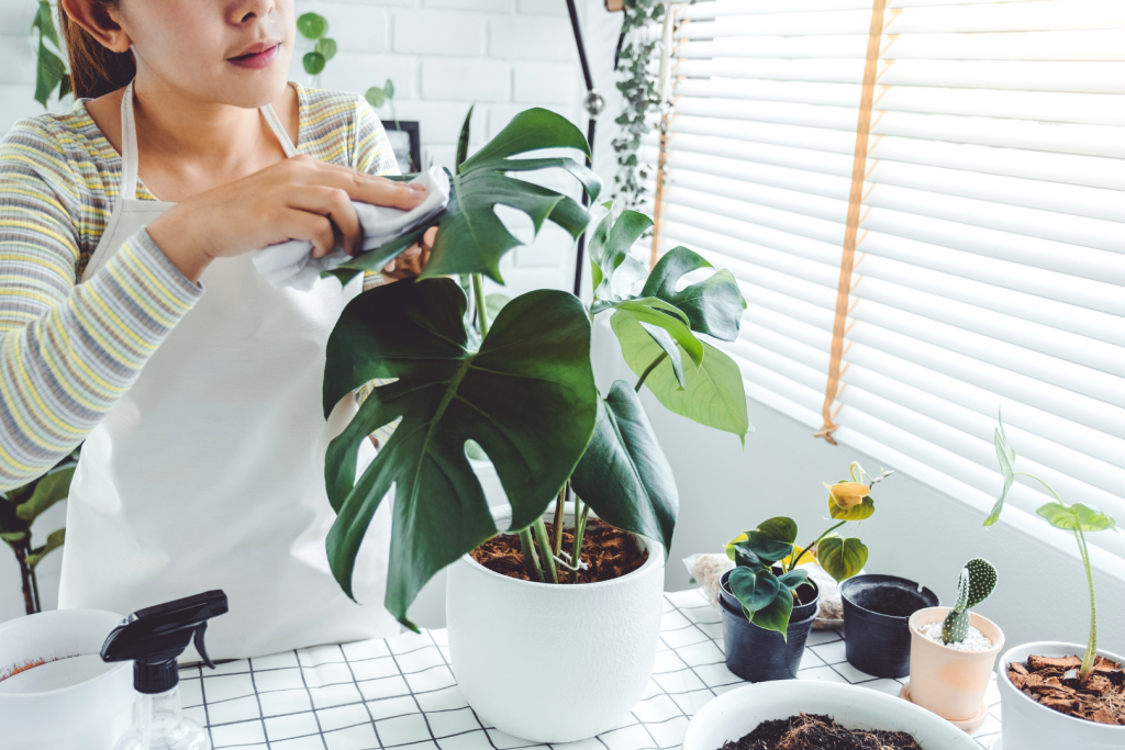 ของขวัญวาเลนไทน์