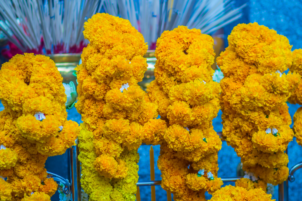 ดอกไม้ไหว้พระ