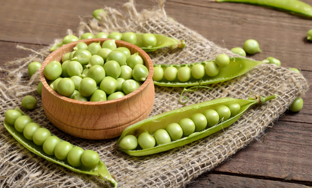 ผักที่แมวกินได้