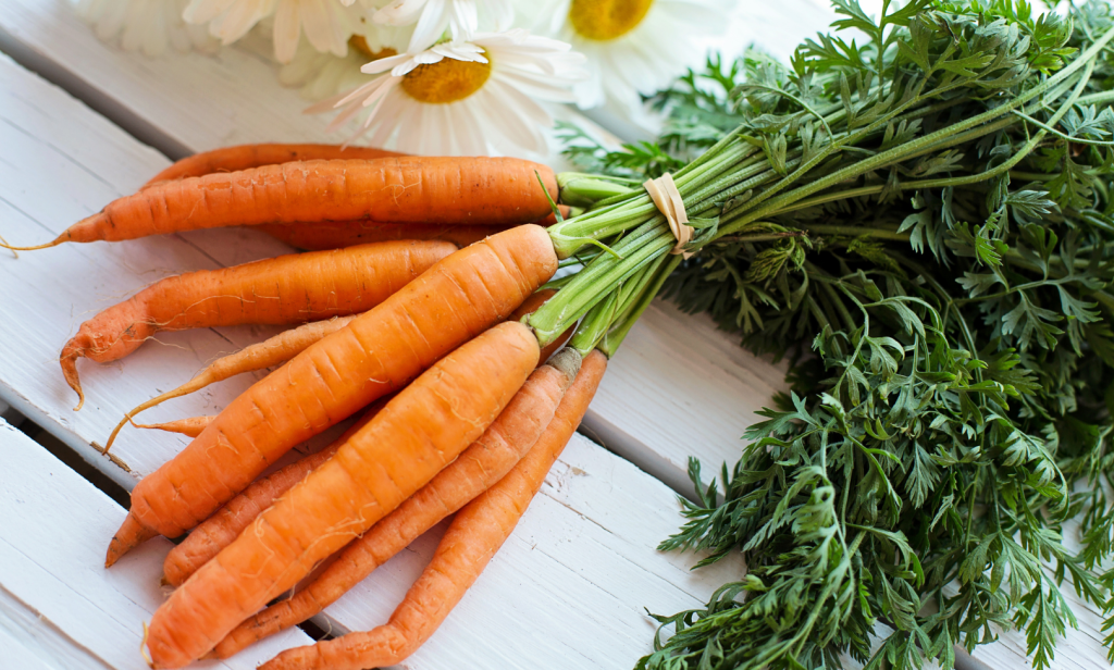 ผักที่แมวกินได้