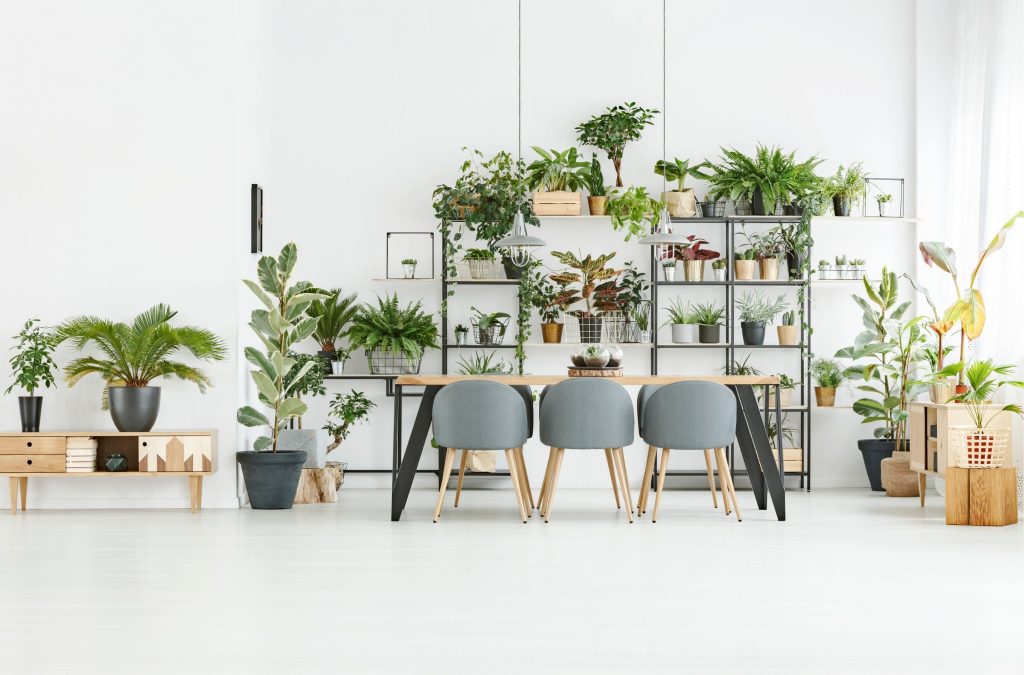 ปลูกต้นไม้ในห้องแอร์