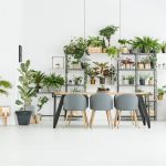 ปลูกต้นไม้ในห้องแอร์ได้ไหม ปลูกยังไงให้รอด โตสวยเข้ากับห้อง