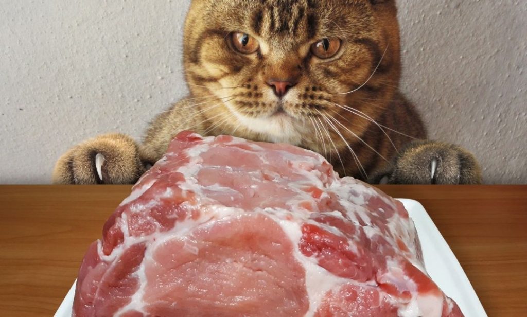 เนื้อดิบ