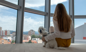 เลี้ยงสุนัขในคอนโด